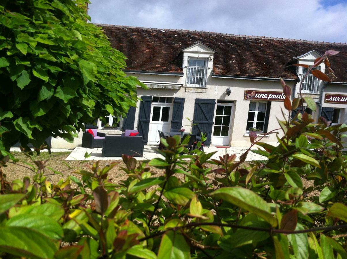Gîte des petites Poules rousses 9 personnes Zoo Beauval et Châteaux de la Loire Choussy Exterior foto